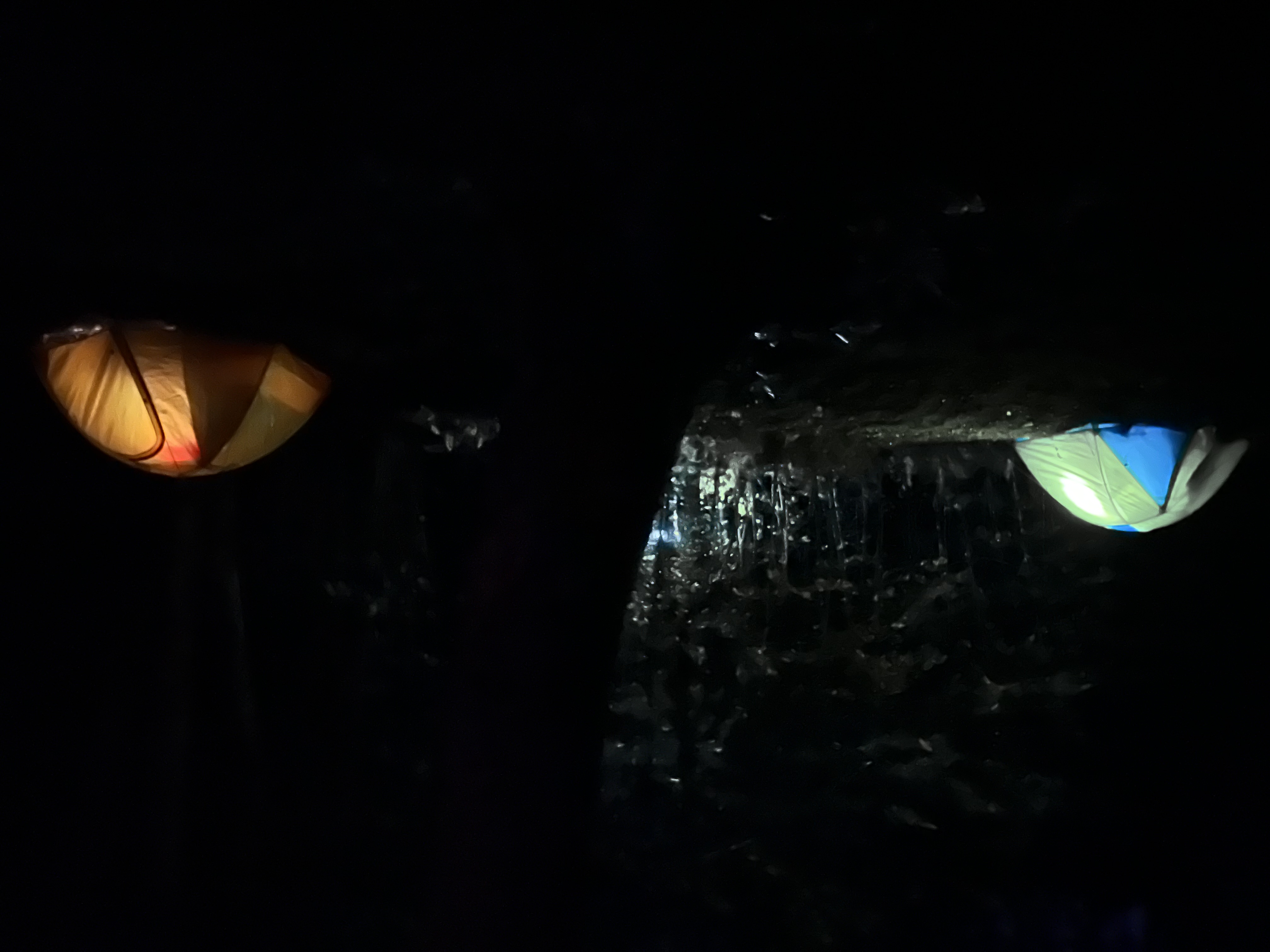 tents in the dark, lit from the inside