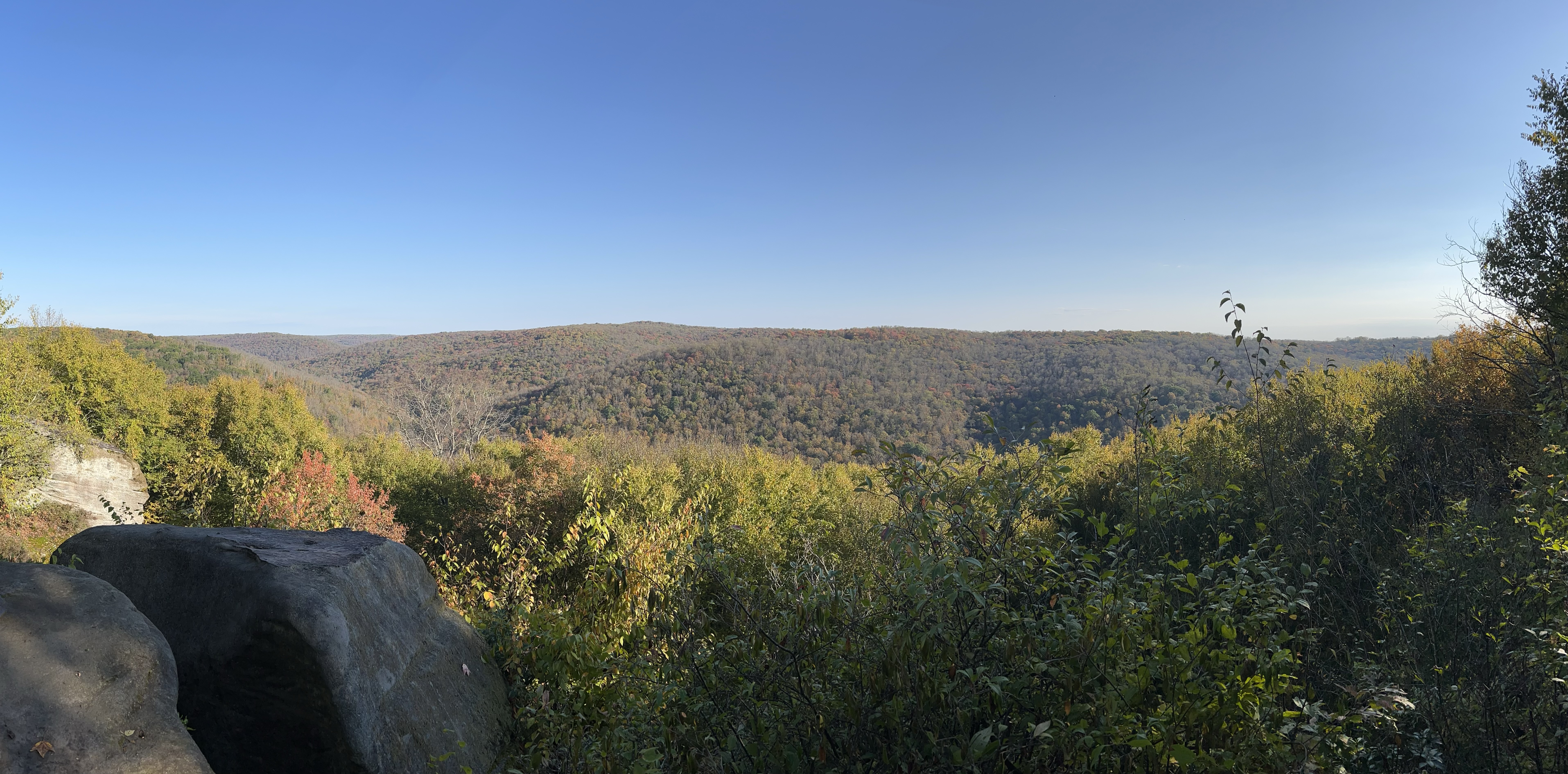 a wooded panorama from above